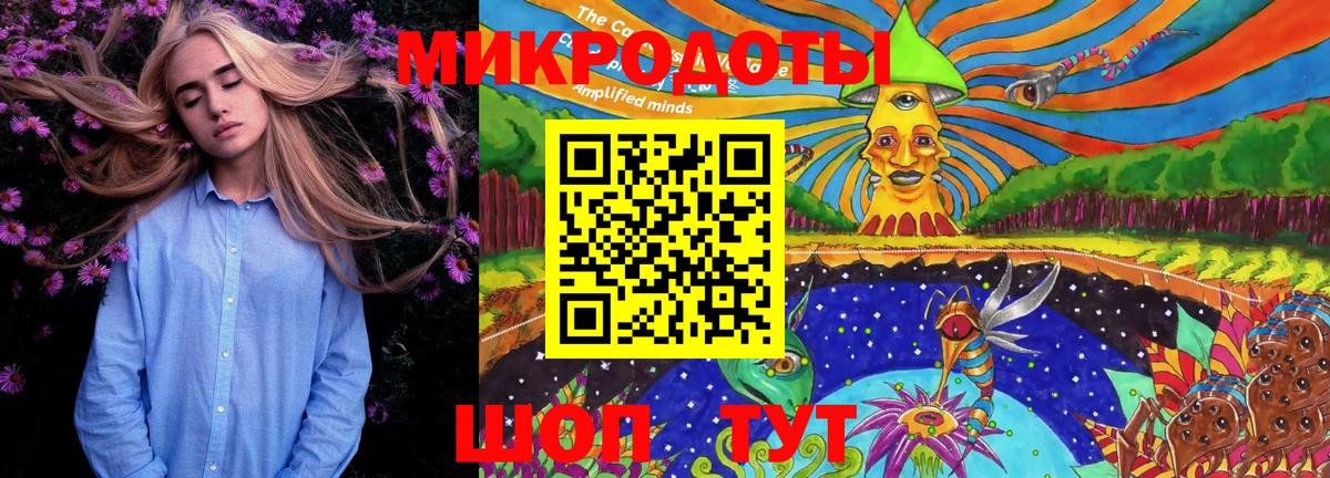 Галлюциногенные грибы Cubensis Серов