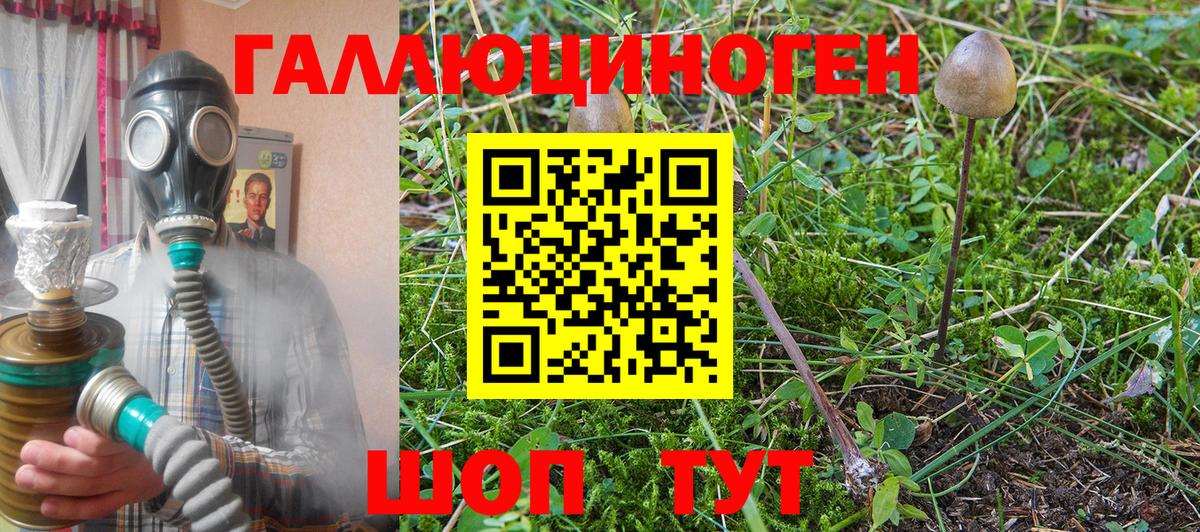 Псилоцибиновые грибы Cubensis  как найти закладки  Серов  Вход с VPN 